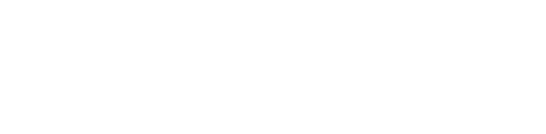 Punhaltechs white